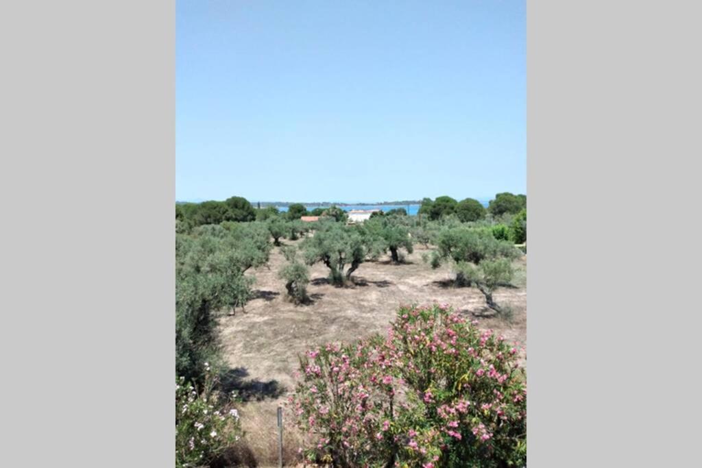 Nefolia Βίλα Βουρβουρού Εξωτερικό φωτογραφία