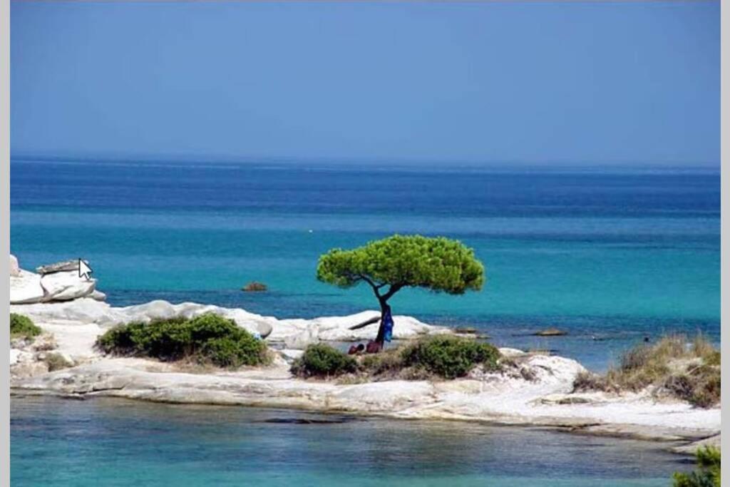 Nefolia Βίλα Βουρβουρού Εξωτερικό φωτογραφία