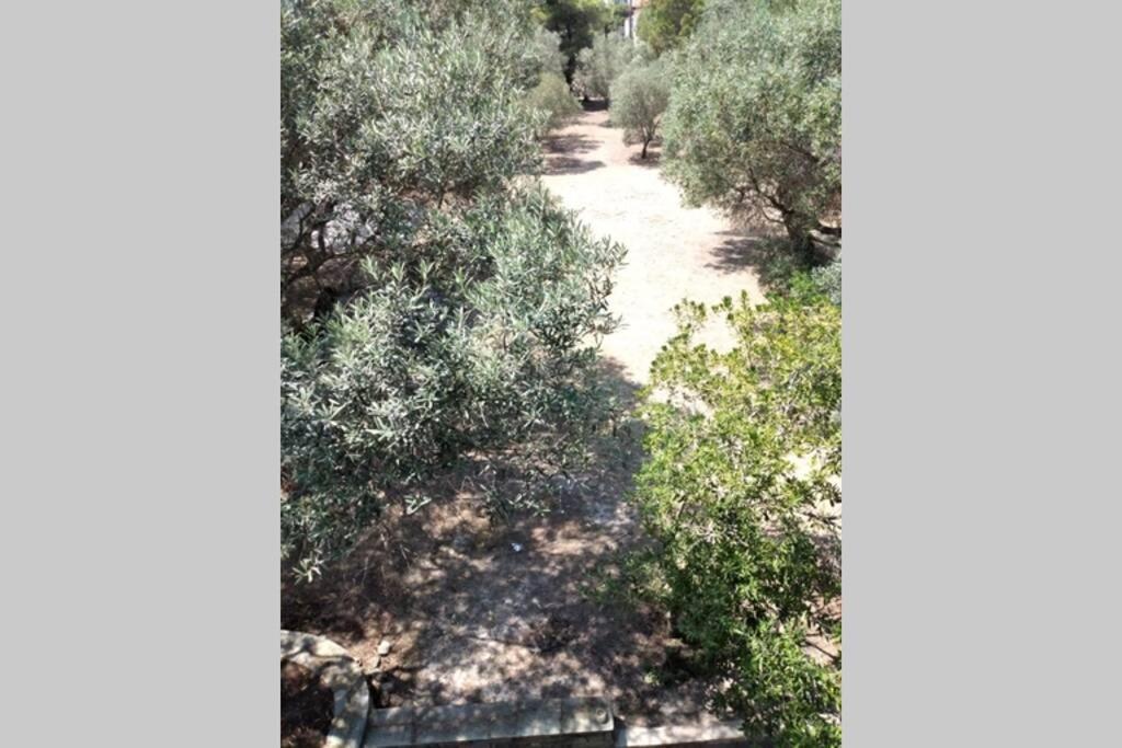 Nefolia Βίλα Βουρβουρού Εξωτερικό φωτογραφία